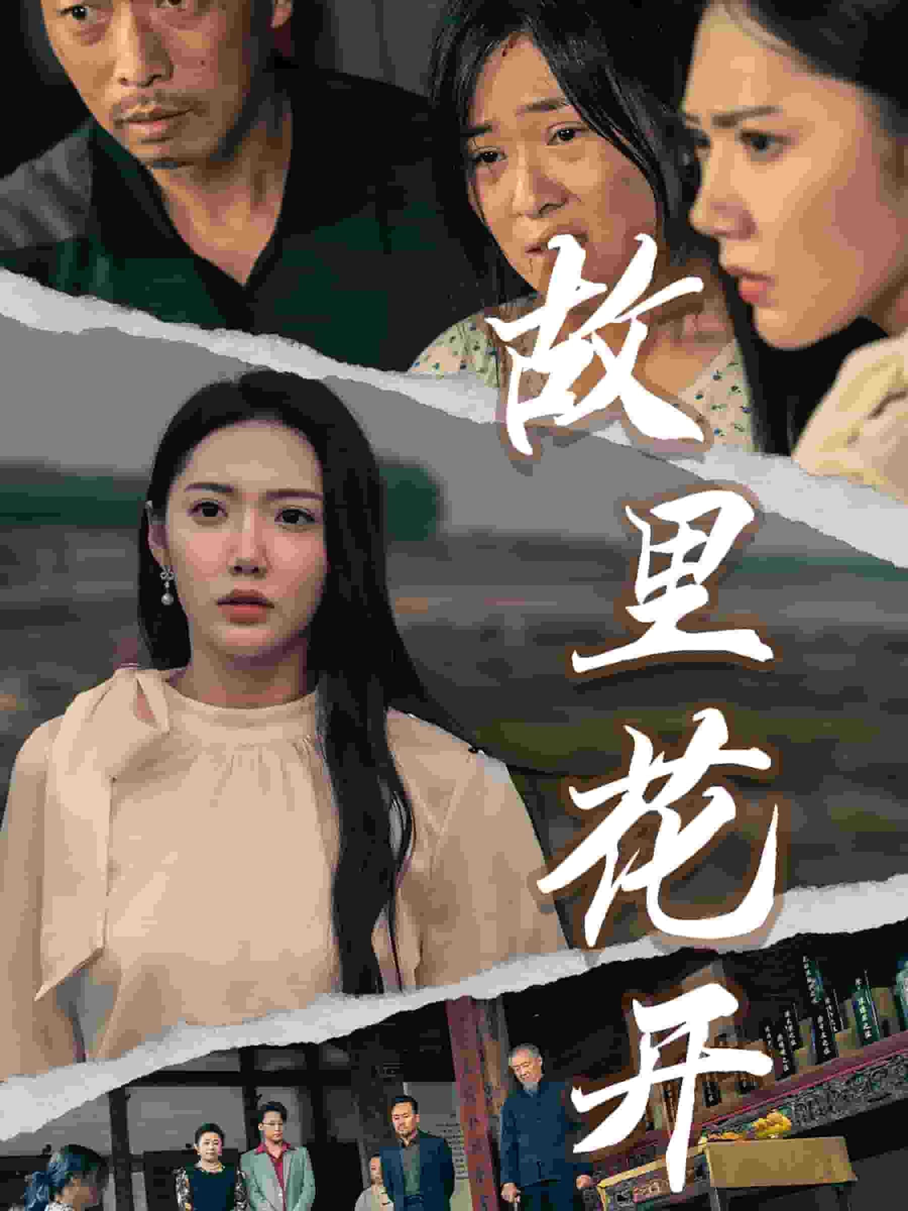 故里花开 第38集
