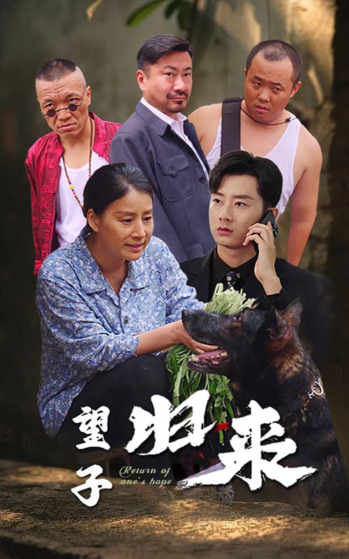 望子归来 第11集