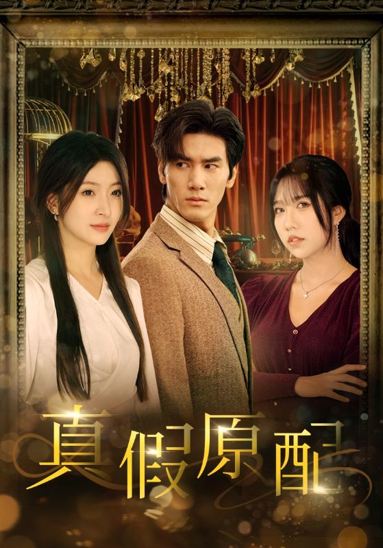 真假原配 第12集