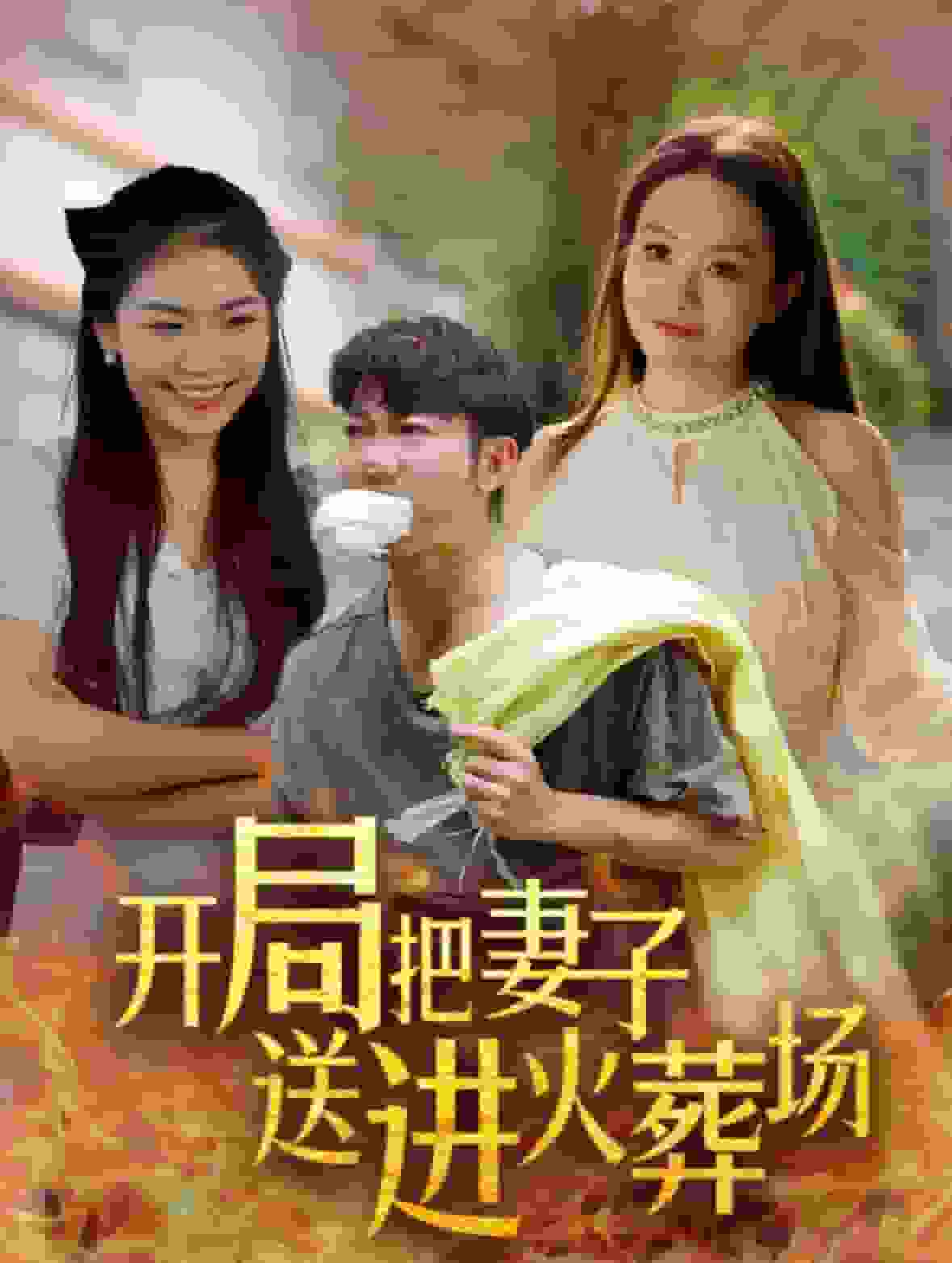 开局把妻子送进火葬场 第11集