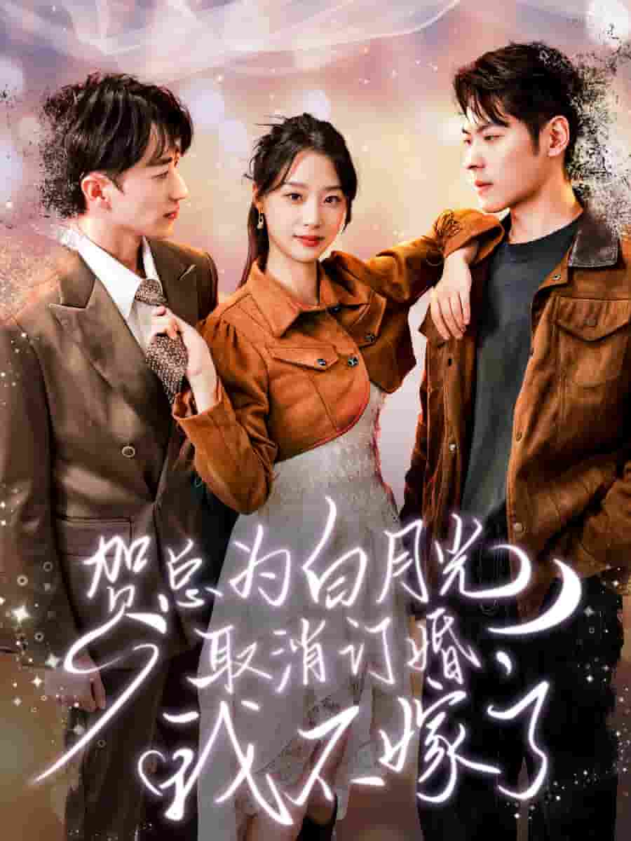 贺总为白月光取消订婚，我不嫁了 第23集