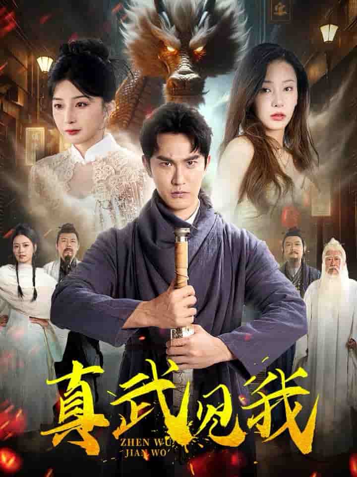 真武见我 第56集