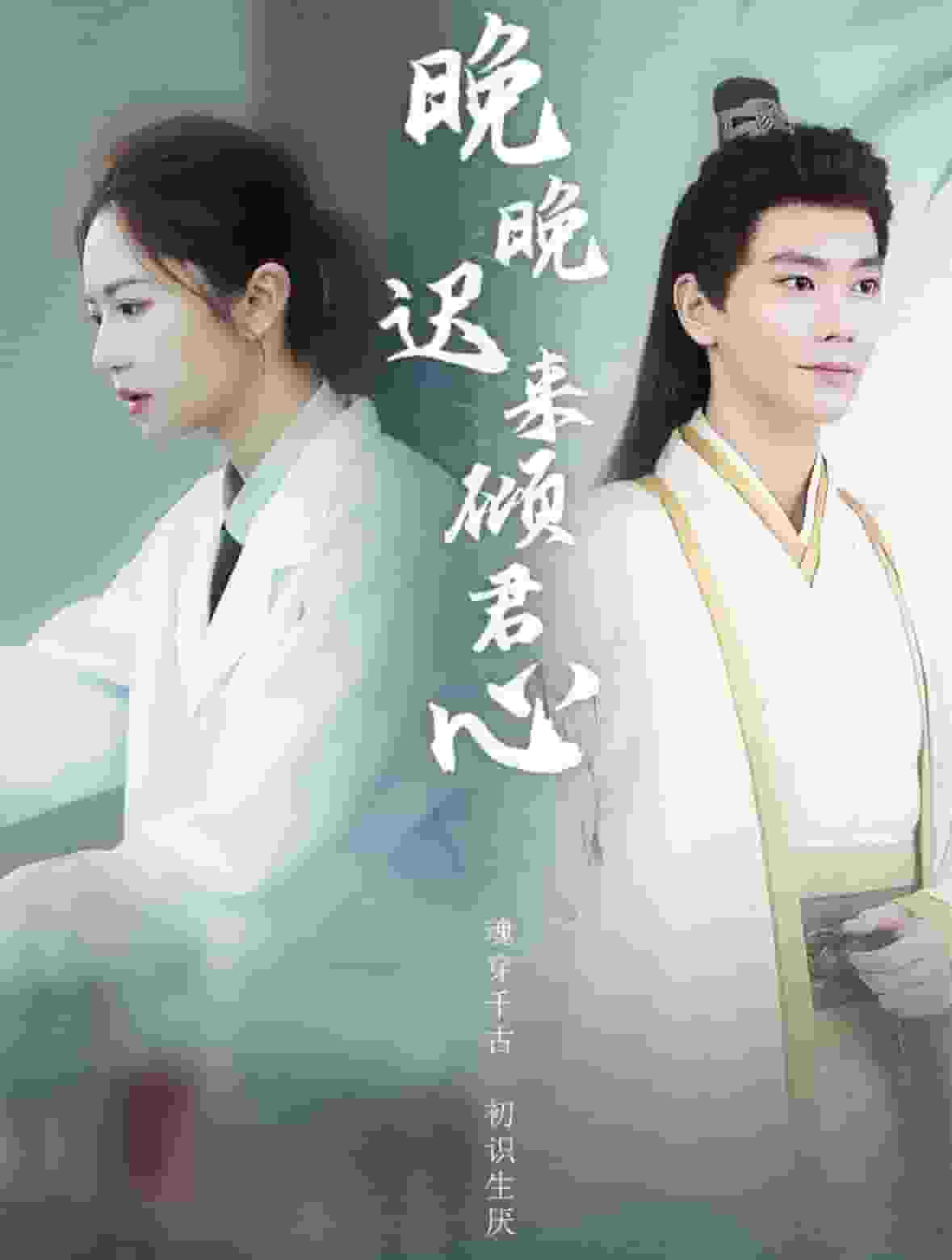 晚晚迟来倾君心 第31集