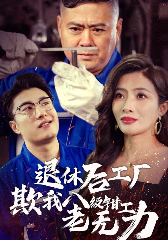 退休后工厂欺我八级钳工老无力 第23集