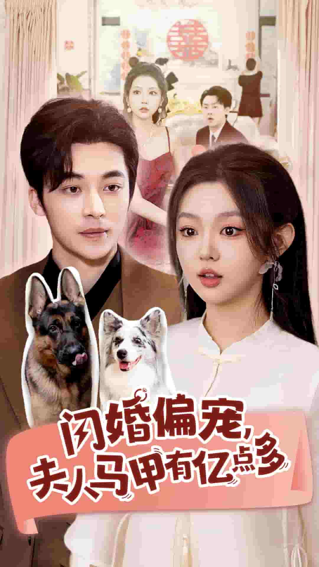 闪婚偏宠夫人马甲有亿点多 第26集