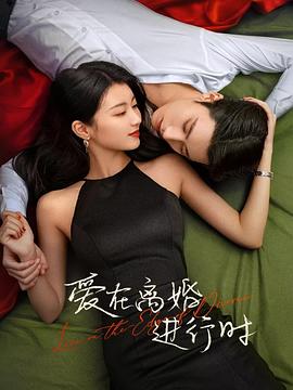 爱在离婚进行时2025 第01集