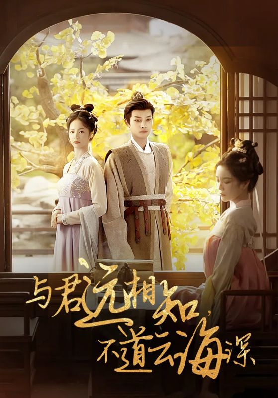 与君远相知不道云海深 第23集