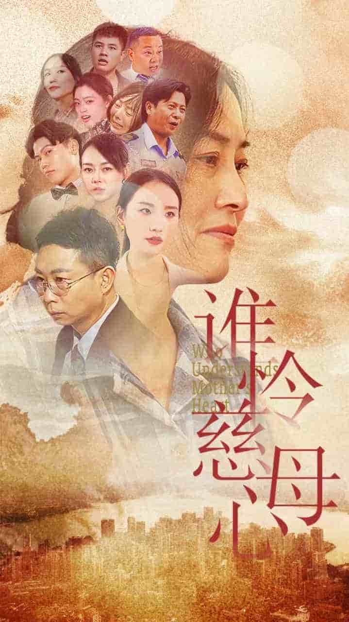 谁怜慈母心 第40集
