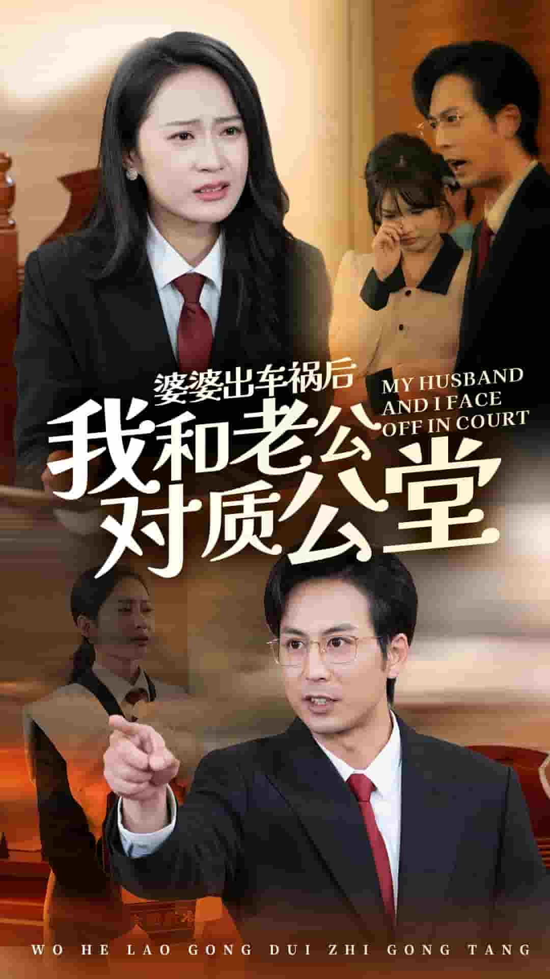 婆婆出车祸后我和老公对质公堂 第16集