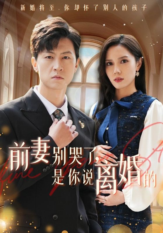 前妻别哭了是你说离婚的 第01集