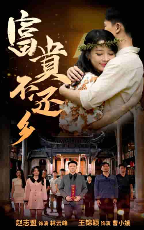 富贵不还乡 第28集