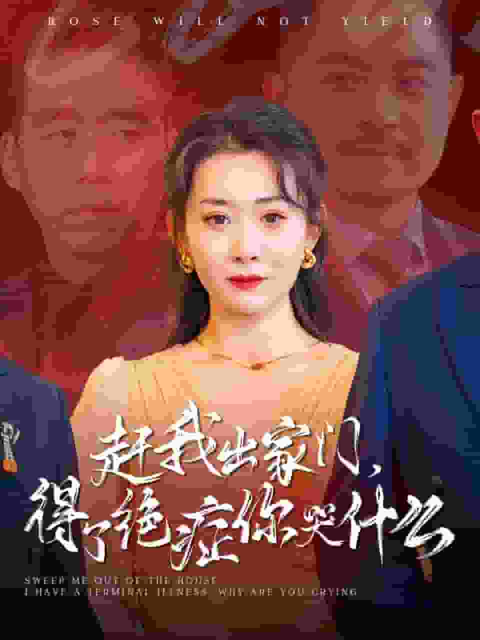 赶我出家门得了绝症你哭什么 第19集