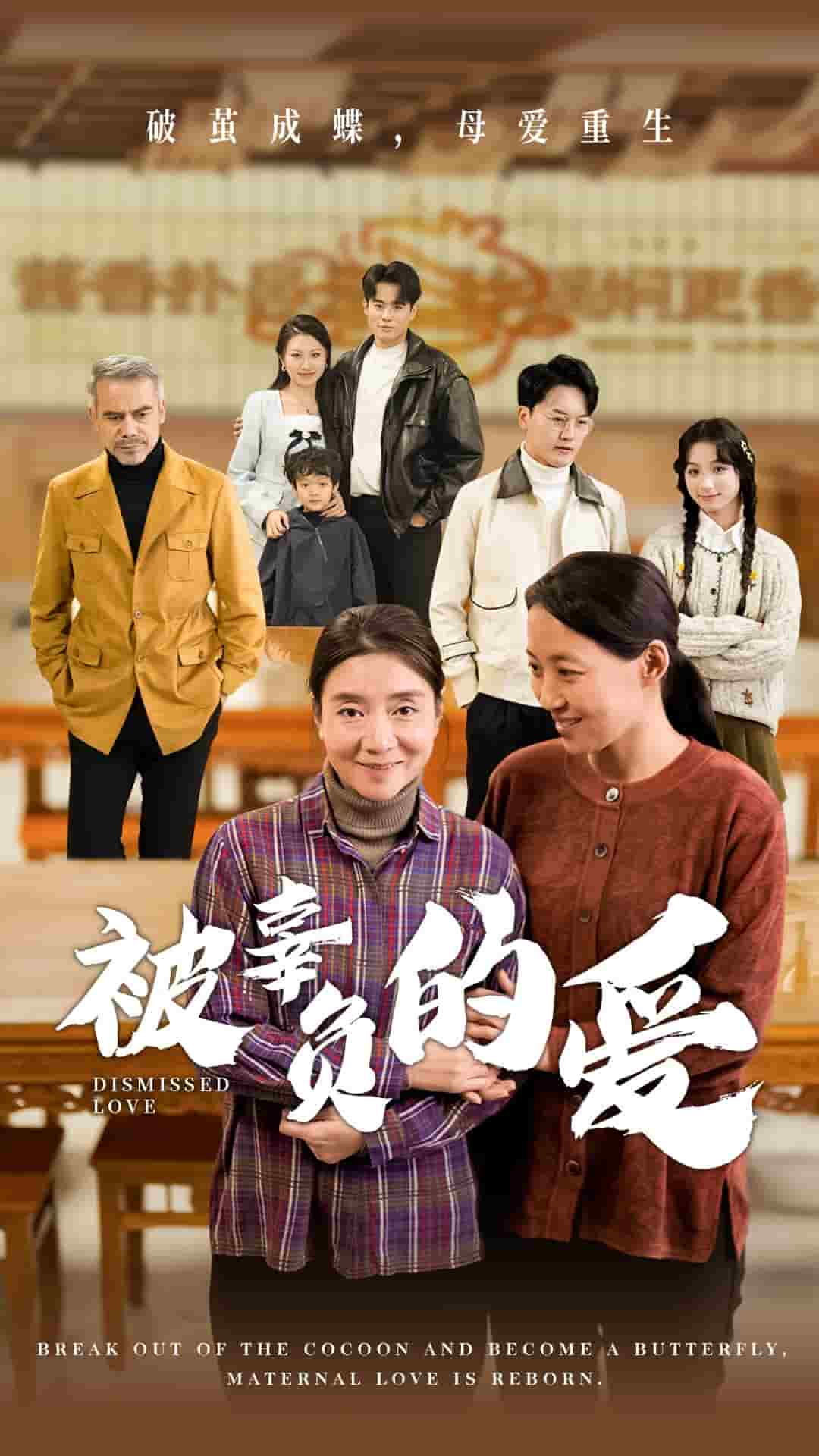 被辜负的爱 第51集