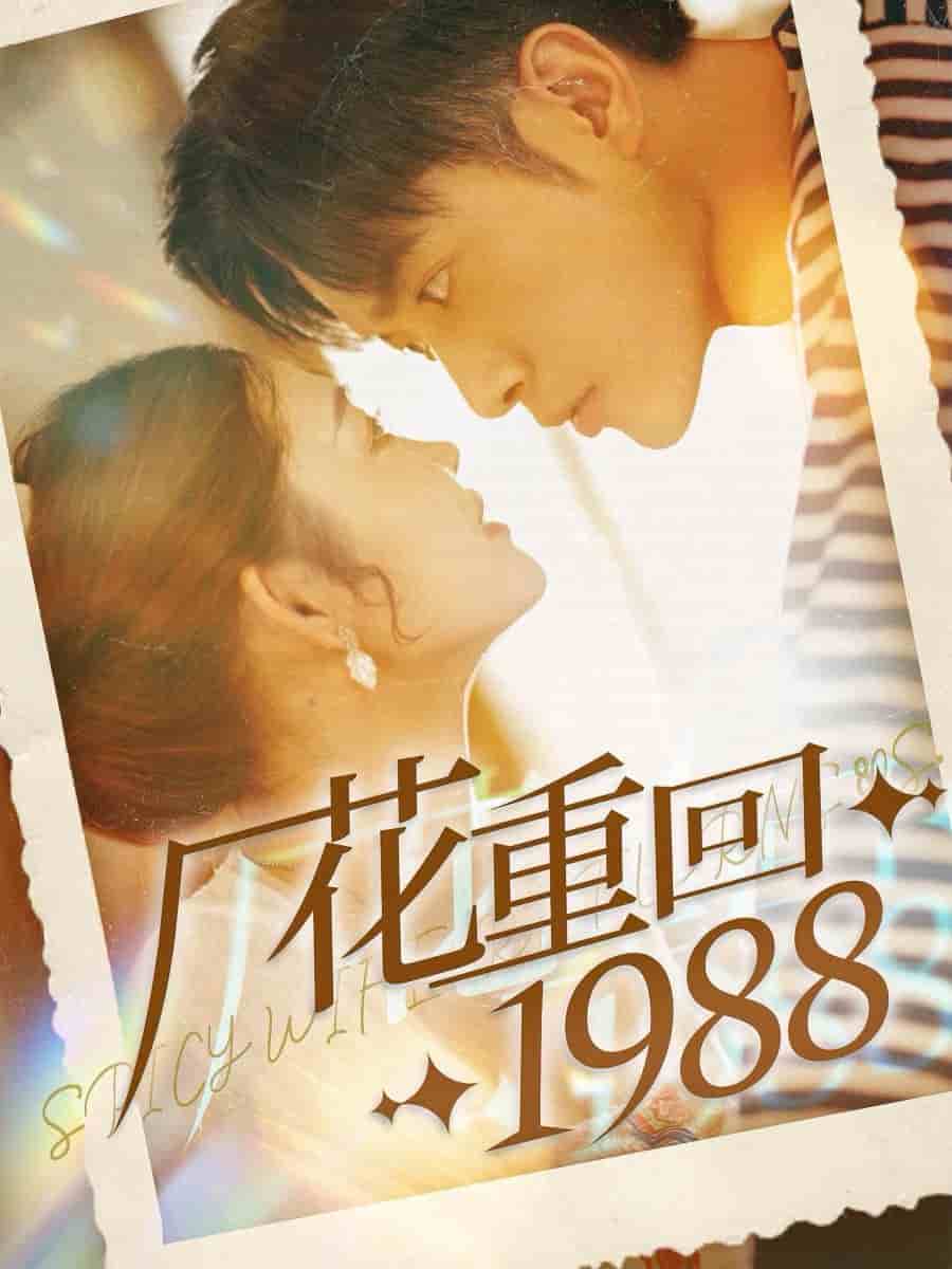 厂花重回1988 第18集