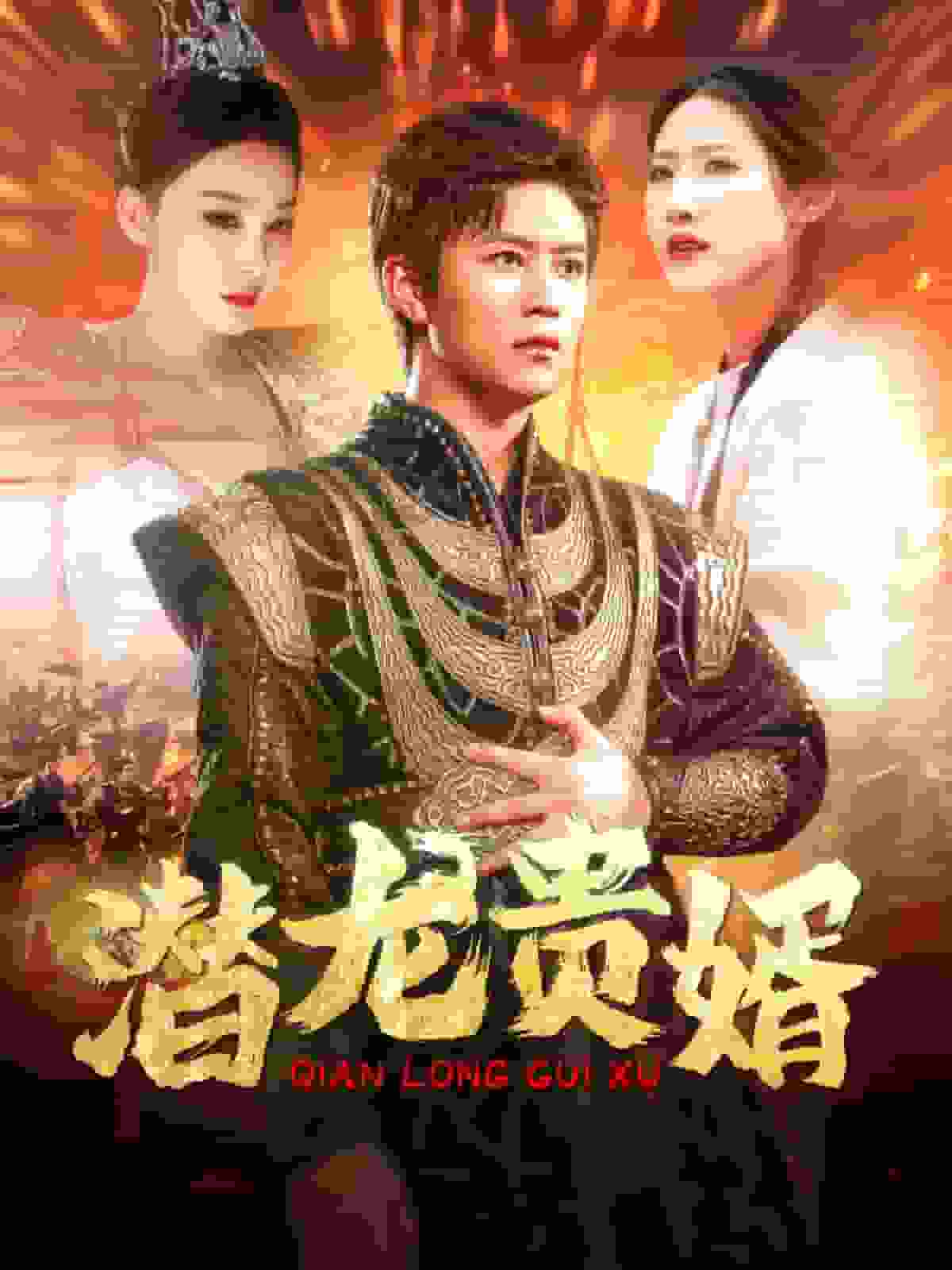 潜龙贵婿 第77集