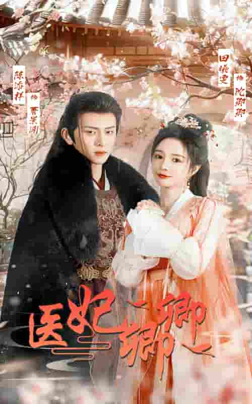 医妃卿卿 第08集