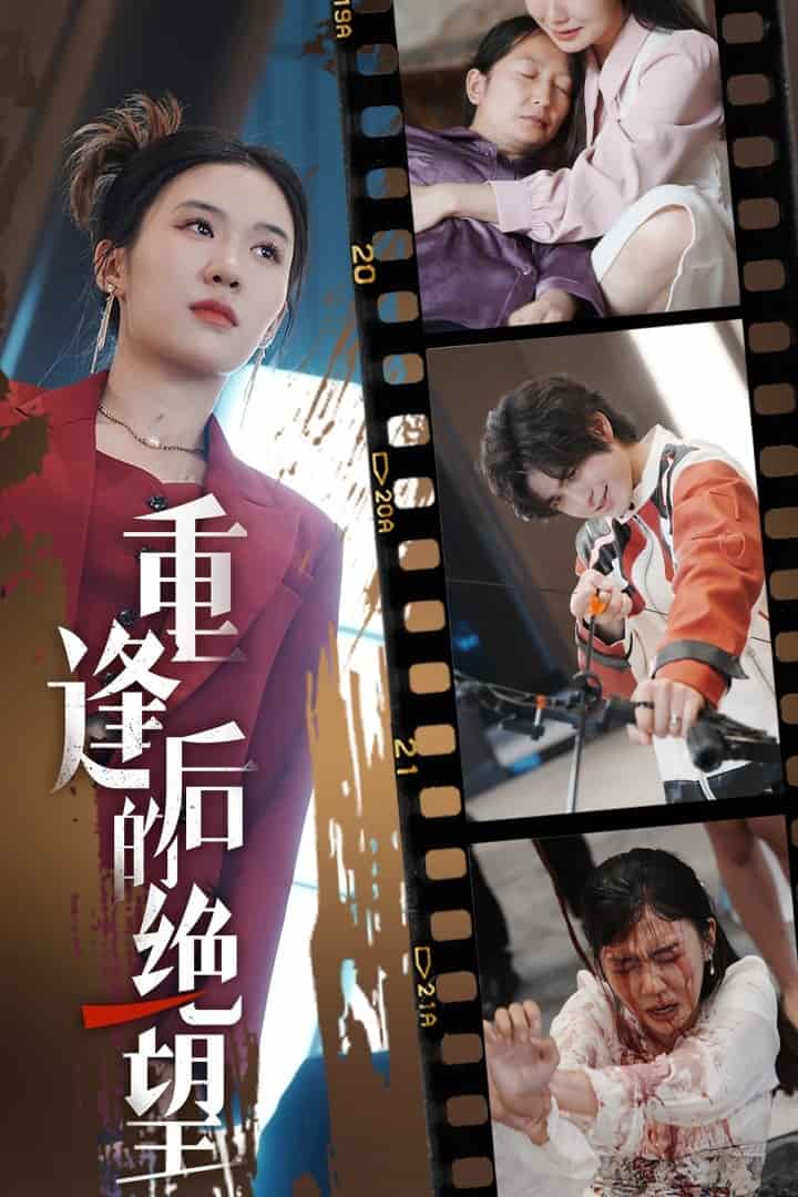 重逢后的绝望 第14集