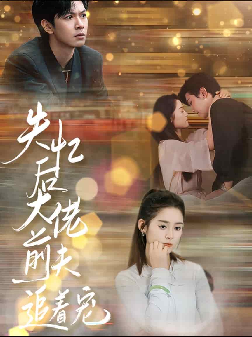 失忆后大佬前夫追着宠 第14集