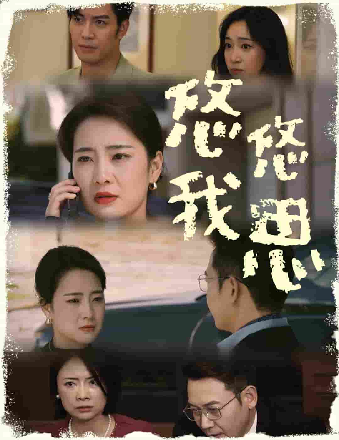 悠悠我思 第26集