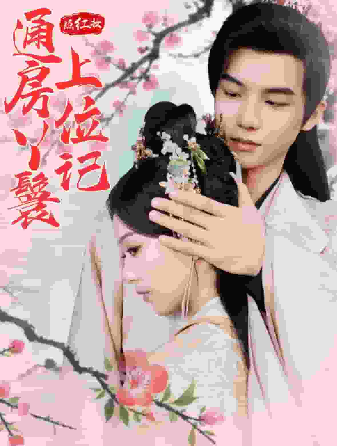 照红妆通房丫鬟上位记 第17集