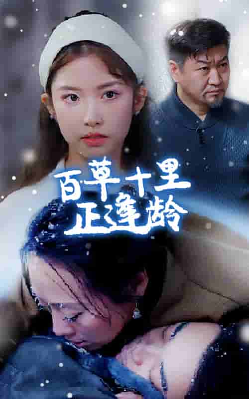 百草十里正逢龄 第16集