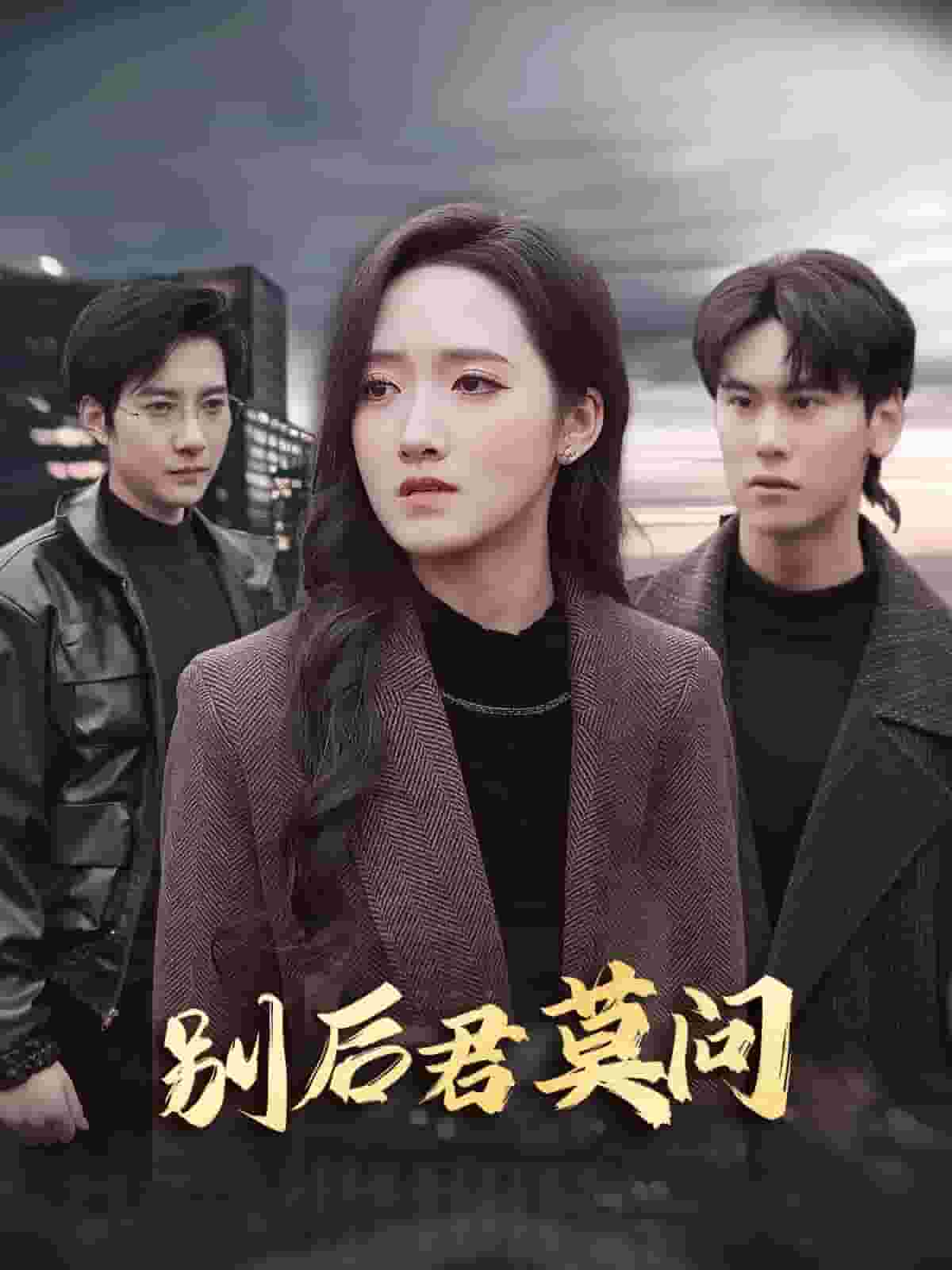 别后悠悠君莫问 第11集
