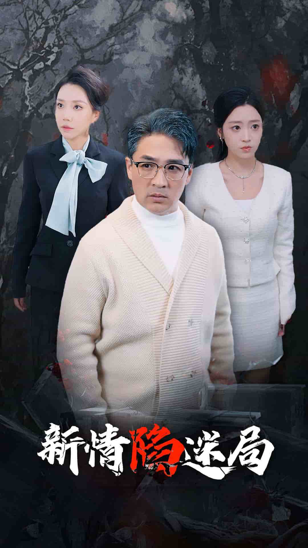 新情陷迷局 第13集