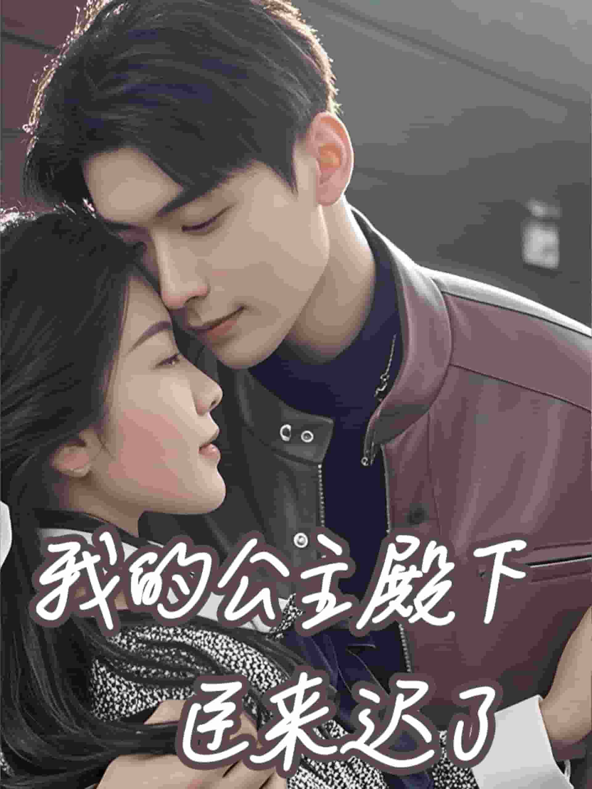 我的公主殿下臣来迟了 第73集