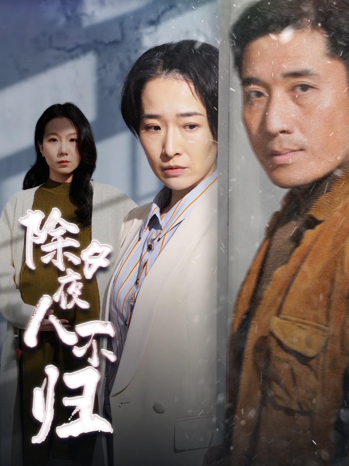 除夕夜人不归 第19集