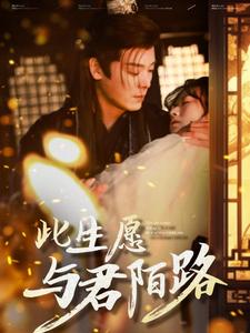 此生愿与君陌路 第33集