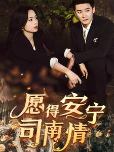 愿得安宁司南情 第11集