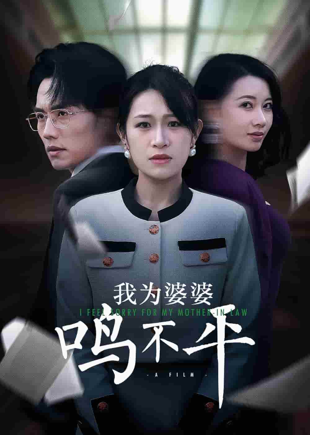 我为婆婆鸣不平 第42集