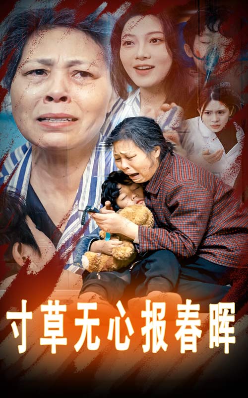 寸草无心报春晖 第20集