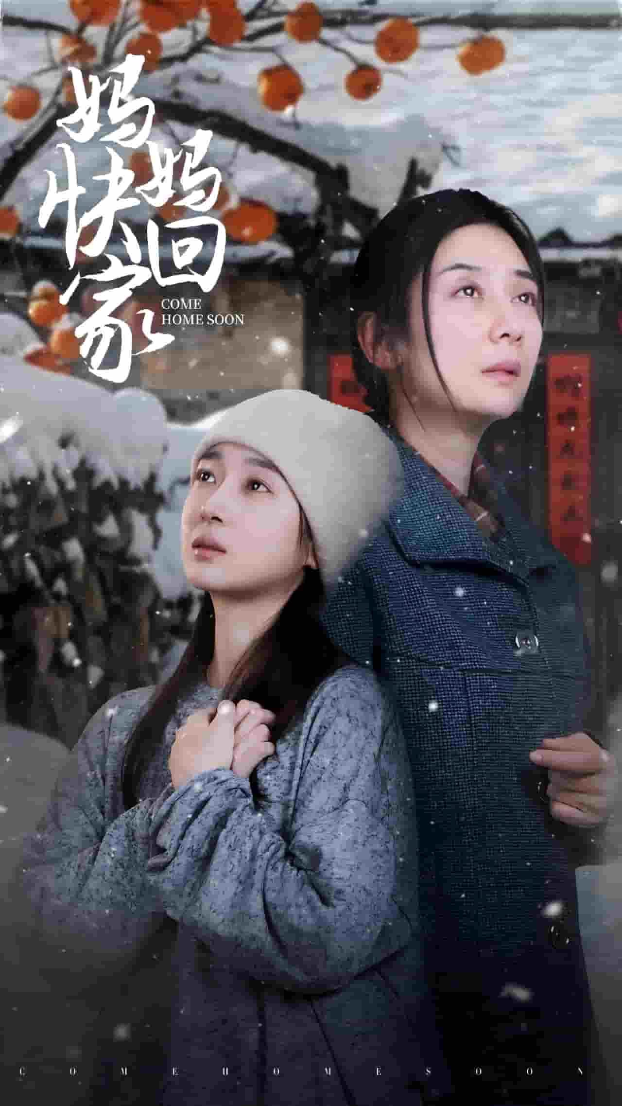 妈妈快回家 第25集