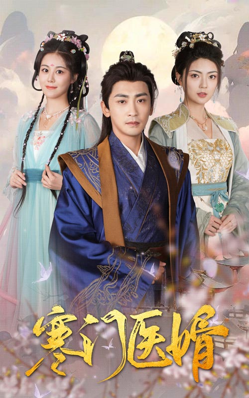 寒门医婿 第29集