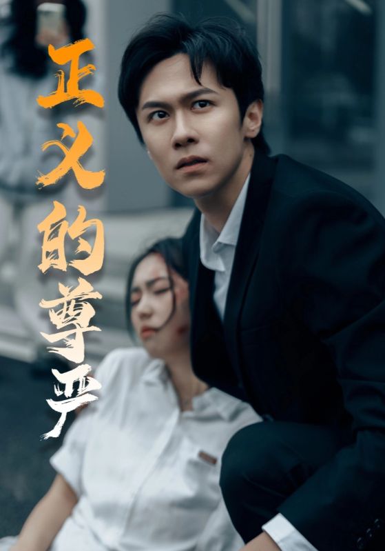 正义的尊严 第28集
