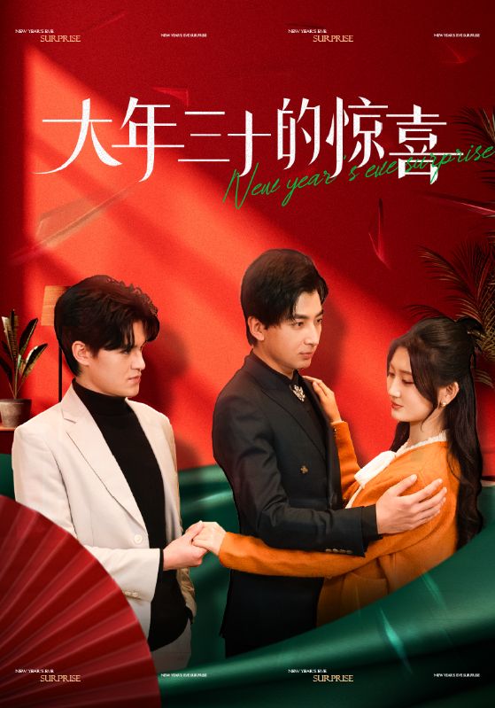 大年三十的惊喜 第25集