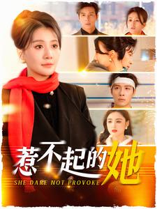 惹不起的她(全集)