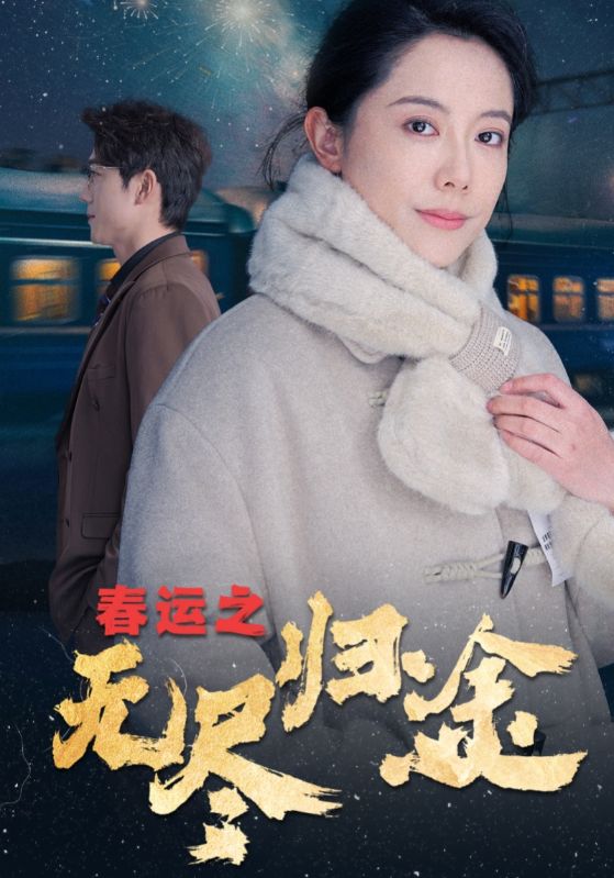 春运之无尽归途 第24集