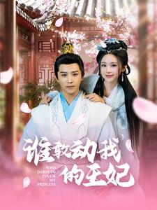 谁敢动我的王妃 第42集