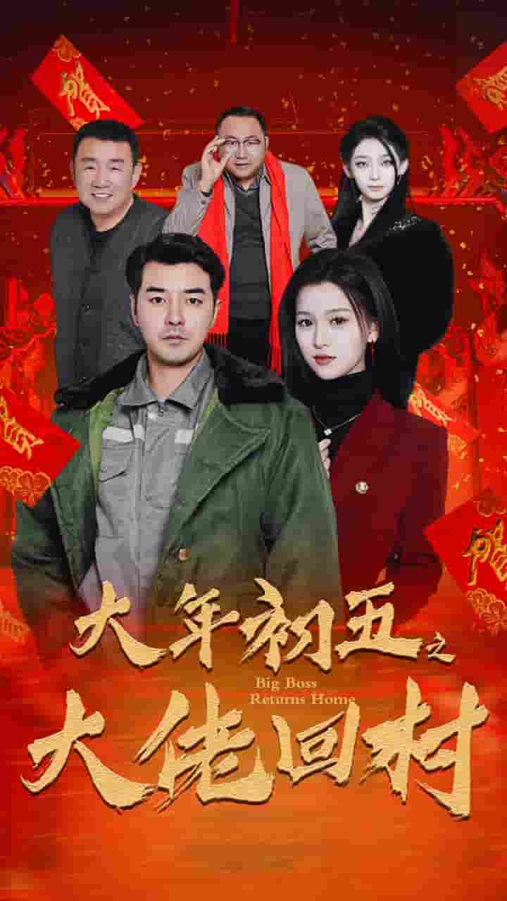 隐婚老公带娃上门 第12集