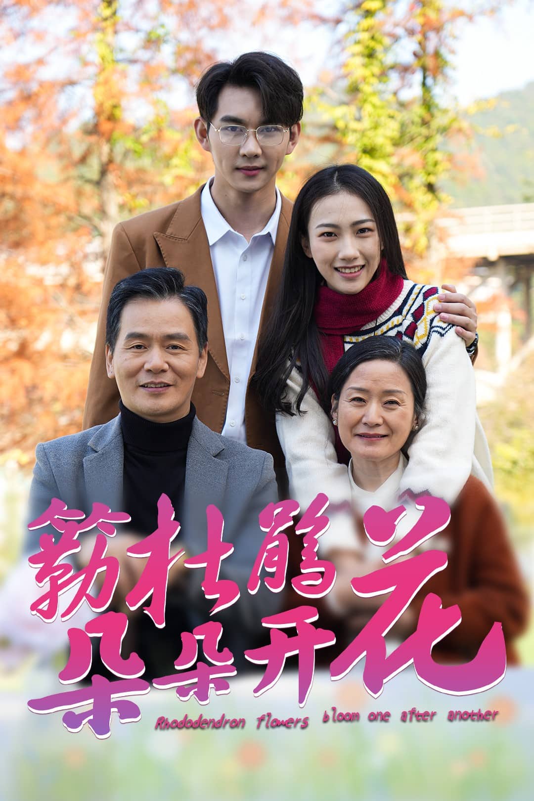簕杜鹃花朵朵开 第17集