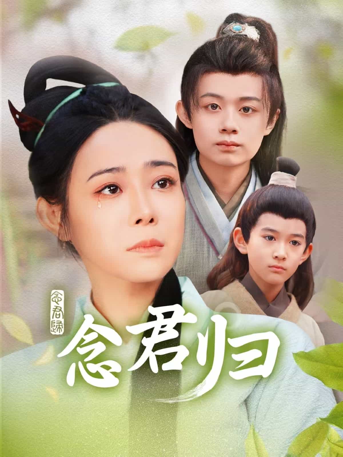 念君归 第12集