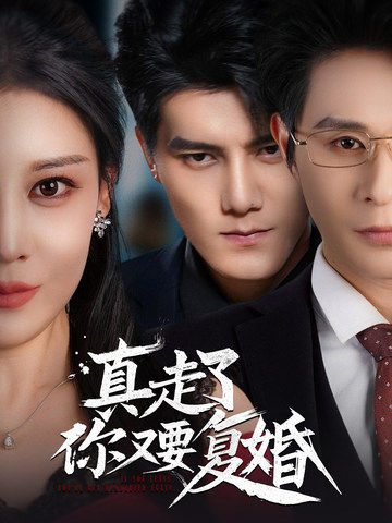 真走了你又要复婚 第24集