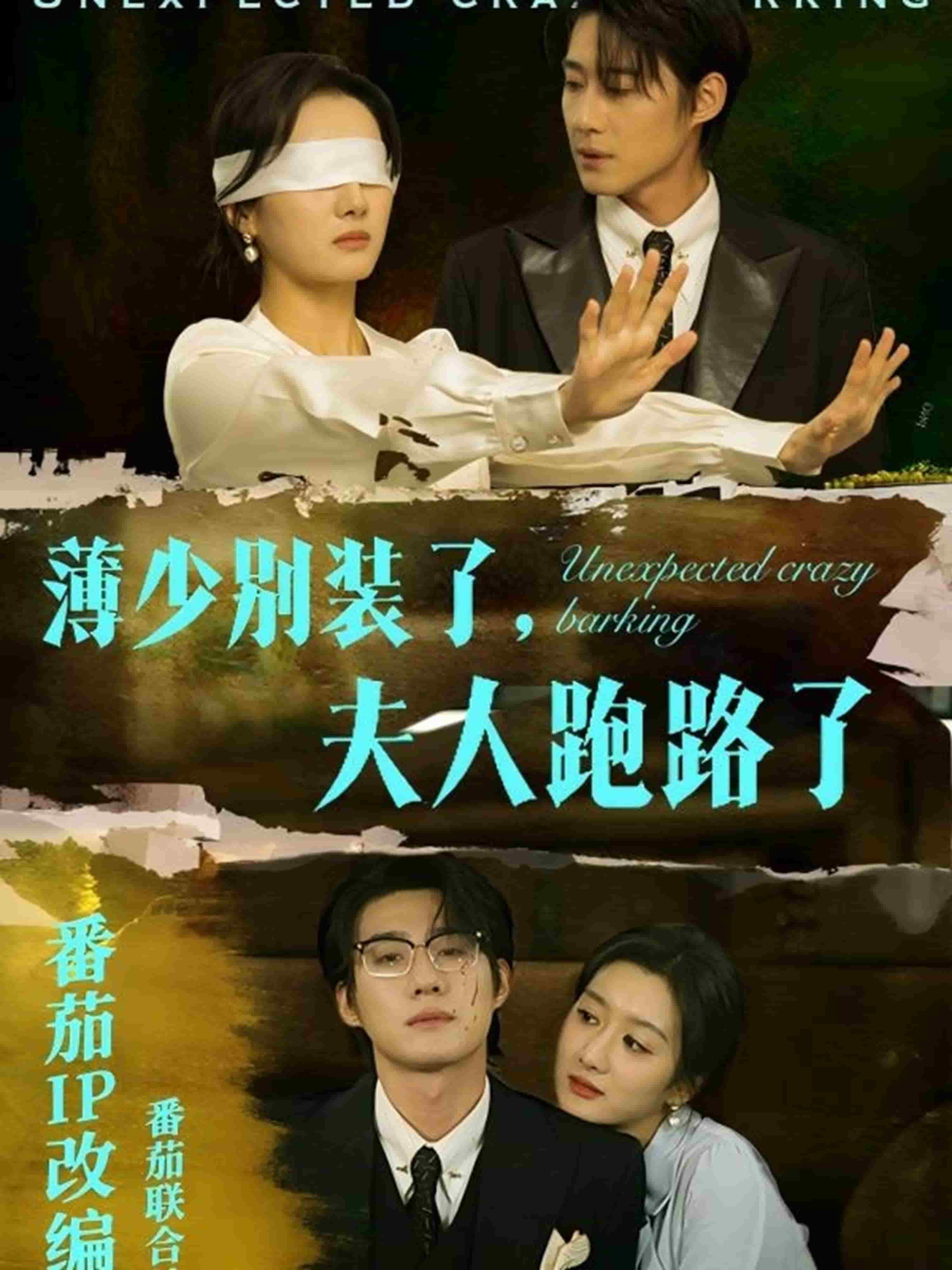 薄少别装了夫人跑路了 第43集