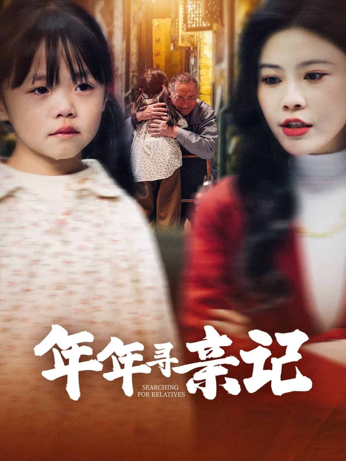 年年寻亲记 第21集