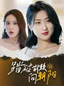 踏破荆棘向朝阳 第38集