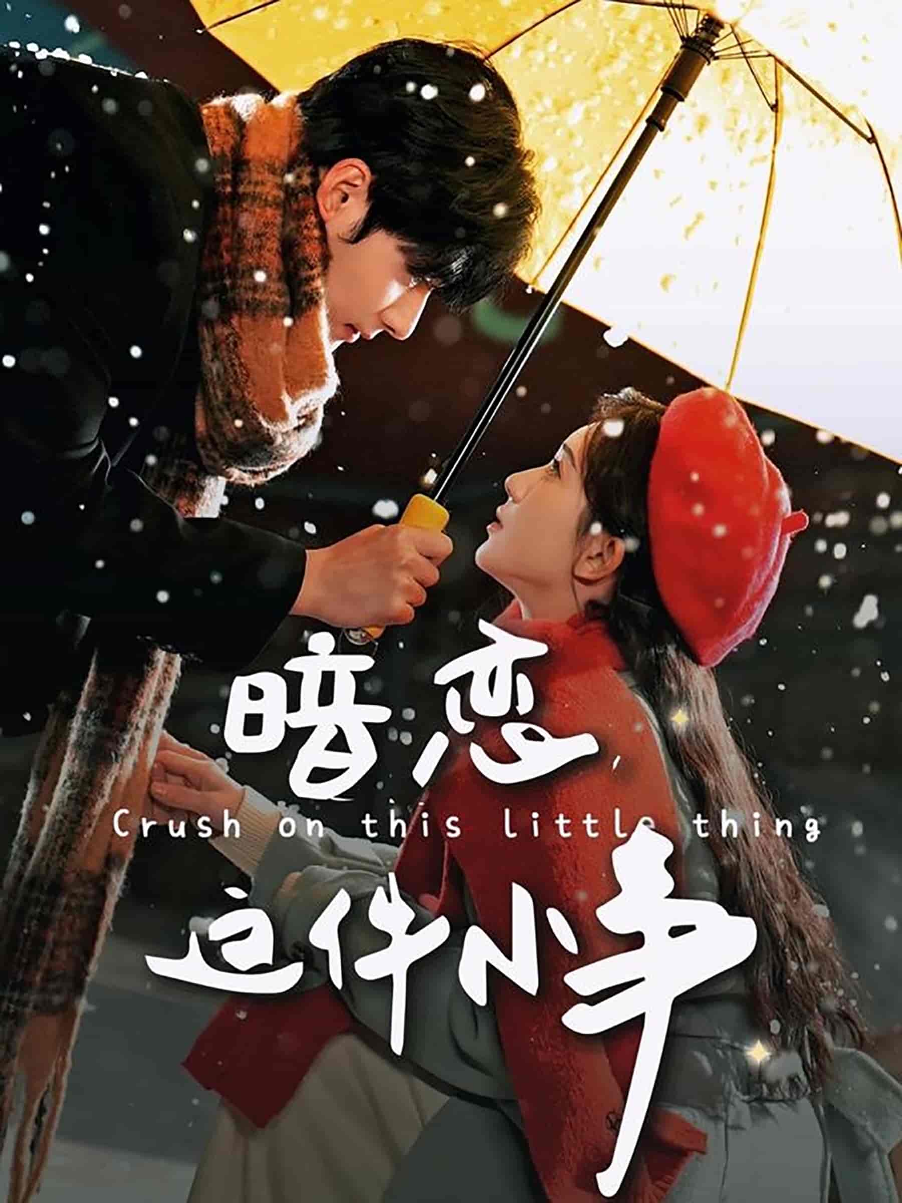 暗恋这件小事 第25集
