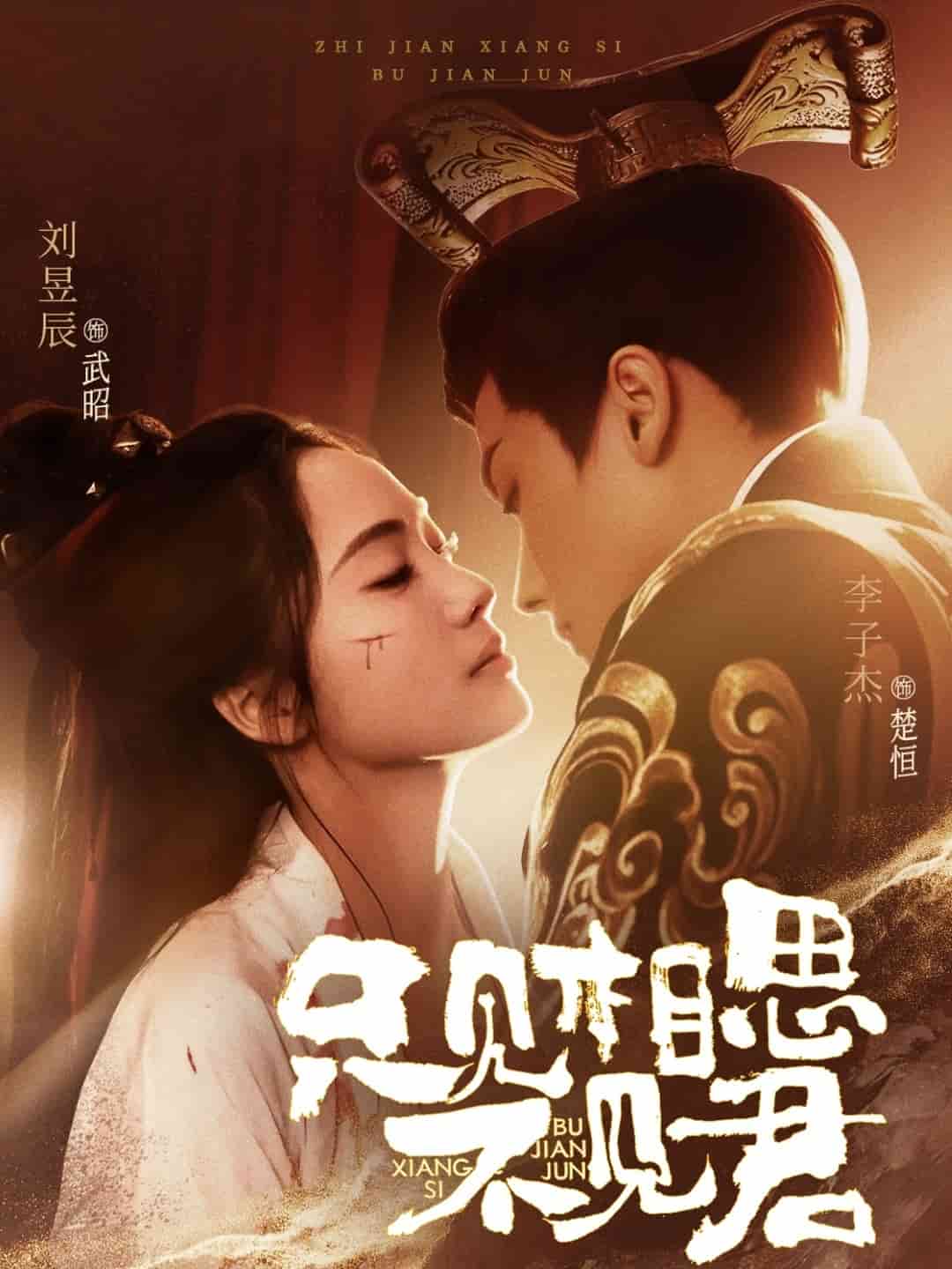 只见相思不见君 第78集