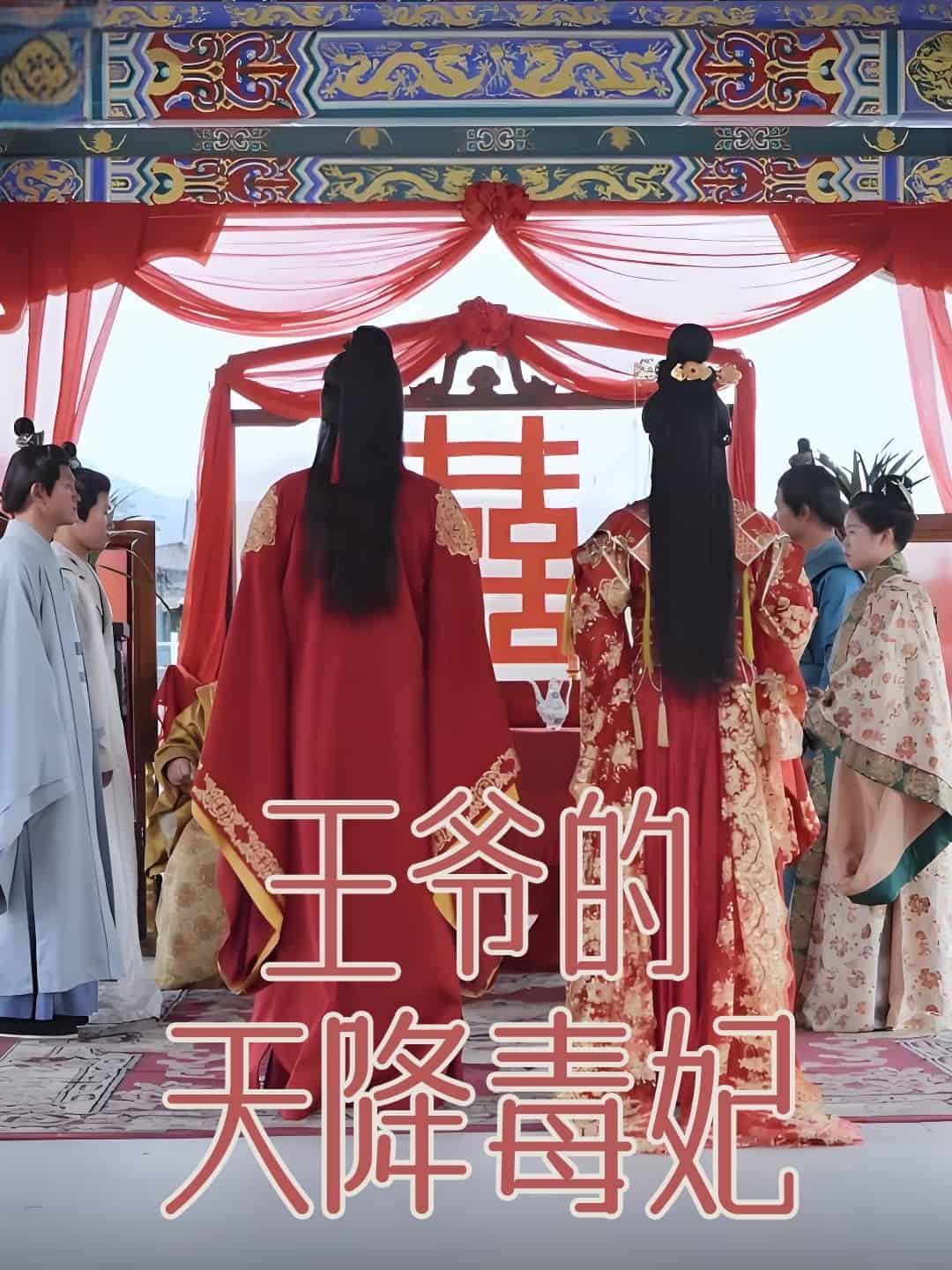 王爷的天降毒妃 第36集
